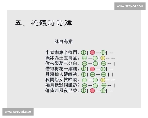 以累的拼音为中心探究汉字音韵变化及其在现代汉语中的应用和影响